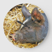 NIEDLICHES SCHWEIN GROßE WANDUHR (Vorderseite)