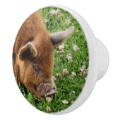 NIEDLICHES SCHWEIN KERAMIKKNAUF (Rechts)