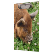 NIEDLICHES SCHWEIN KLEMMBRETT (Links)