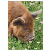 NIEDLICHES SCHWEIN KLEMMBRETT (Rückseite)