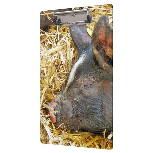 NIEDLICHES SCHWEIN KLEMMBRETT (Links)