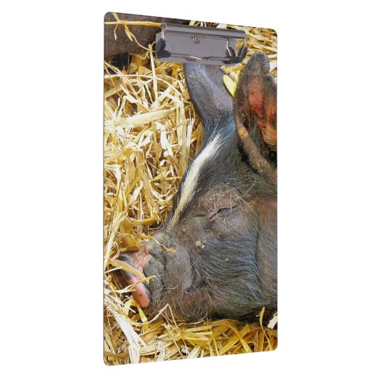 NIEDLICHES SCHWEIN KLEMMBRETT (Rechts)