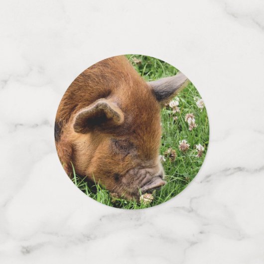 NIEDLICHES SCHWEIN KONFETTI (Klein Vorderseite)