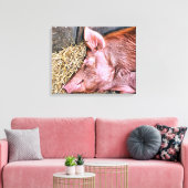 NIEDLICHES SCHWEIN LEINWANDDRUCK (Insitu (Wohnzimmer))