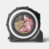 NIEDLICHES SCHWEIN MAßBAND (Vorderseite)