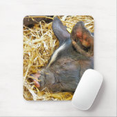 NIEDLICHES SCHWEIN MOUSEPAD (Mit Mouse)