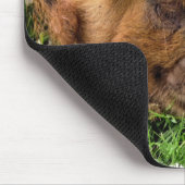 NIEDLICHES SCHWEIN MOUSEPAD (Ecke)
