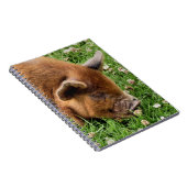 NIEDLICHES SCHWEIN NOTIZBLOCK (Rechte Seite)