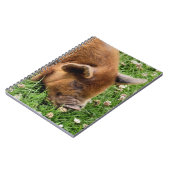 NIEDLICHES SCHWEIN NOTIZBLOCK (Linke Seite)