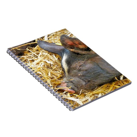 NIEDLICHES SCHWEIN NOTIZBLOCK (Rechte Seite)