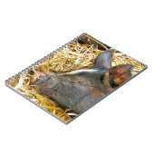 NIEDLICHES SCHWEIN NOTIZBLOCK (Linke Seite)