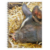 NIEDLICHES SCHWEIN NOTIZBLOCK (Vorderseite)