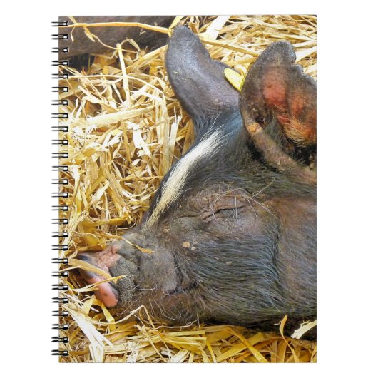 NIEDLICHES SCHWEIN NOTIZBLOCK (Vorderseite)