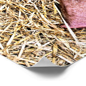 NIEDLICHES SCHWEIN POSTER (Ecke)