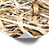 NIEDLICHES SCHWEIN POSTER (Ecke)