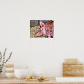 NIEDLICHES SCHWEIN POSTER (Küche)
