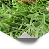 NIEDLICHES SCHWEIN POSTER (Ecke)