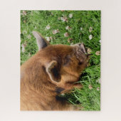 NIEDLICHES SCHWEIN PUZZLE (Vertikal)