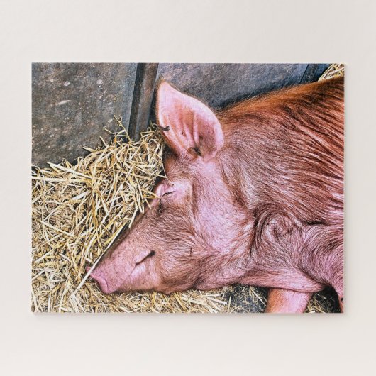 NIEDLICHES SCHWEIN PUZZLE (Horizontal)
