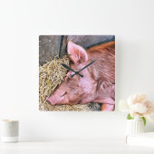 NIEDLICHES SCHWEIN QUADRATISCHE WANDUHR (Zuhause)