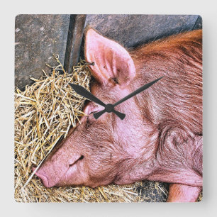 NIEDLICHES SCHWEIN QUADRATISCHE WANDUHR