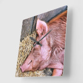 NIEDLICHES SCHWEIN QUADRATISCHE WANDUHR (Winkel)