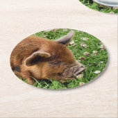 NIEDLICHES SCHWEIN RUNDER PAPPUNTERSETZER (Angewinkelt)