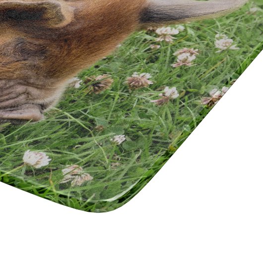 NIEDLICHES SCHWEIN SCHNEIDEBRETT (Ecke)