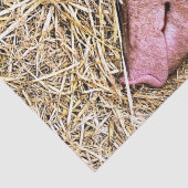 NIEDLICHES SCHWEIN SEIDENPAPIER (Detail)