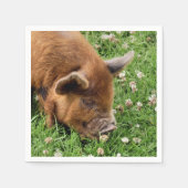 NIEDLICHES SCHWEIN SERVIETTE (Vorderseite)