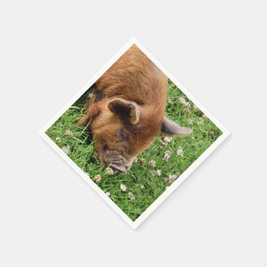 NIEDLICHES SCHWEIN SERVIETTE (Ecke)