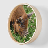 NIEDLICHES SCHWEIN UHR (Winkel)