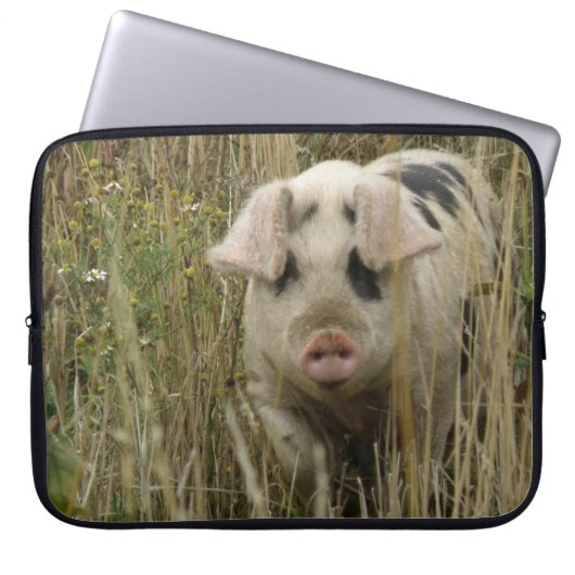 Niedliches Schweineback Laptopschutzhülle (Vorderseite)