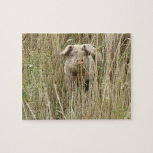 Niedliches Schweinepuzzle Puzzle