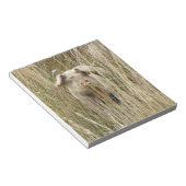 Niedliches Schweineteppich Notizblock (angewinkelt)