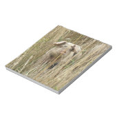 Niedliches Schweineteppich Notizblock (Rotiert)