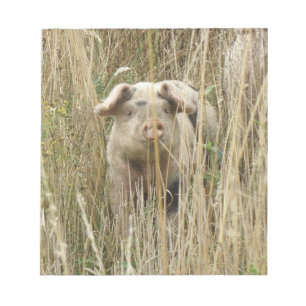 Niedliches Schweineteppich Notizblock