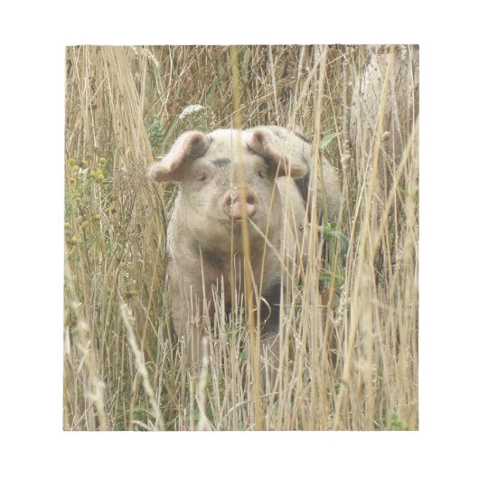 Niedliches Schweineteppich Notizblock (Vorderseite)