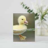 niedliches Schwimmen von Kinderente Postkarte (Stehend Vorderseite)