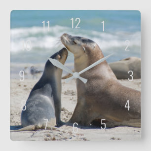 Niedliches Sea Lion & Baby Pup Beach Australien Sq Quadratische Wanduhr
