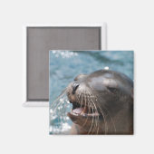 Niedliches Sea Lion Magnet (Vorderseite/Rückseite)
