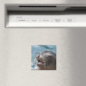 Niedliches Sea Lion Magnet (In Situ (Geschirrspüler))