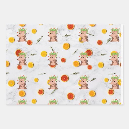 Niedliches Set 3 Blatt Opossum Possum Wrapping Pap (Vorderseite 3)