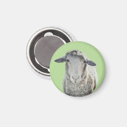 Niedliches Sheep Magnet (Vorderseite/Rückseite)