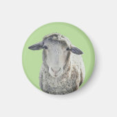 Niedliches Sheep Magnet (Vorne)