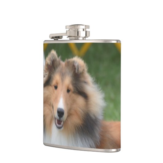 Niedliches Sheltie Flachmann (Links)