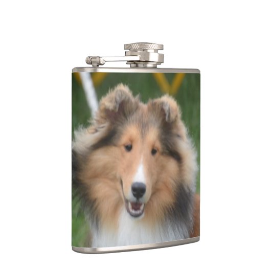 Niedliches Sheltie Flachmann (Rechts)