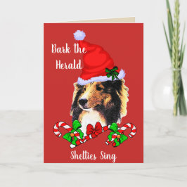 Niedliches Sheltie Sankt Weihnachten