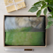 Niedliches Shetland Sheepdog Foto Seidenpapier (Geschenk)