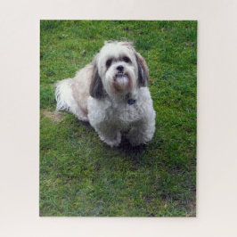 Niedliches Shih Tzu Fluffy Dog Picture Foto Puzzle